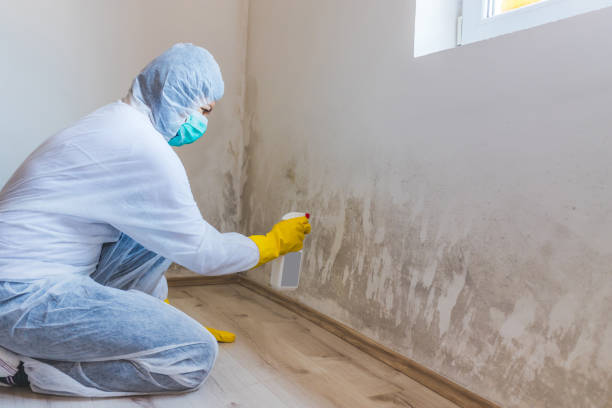 Licensed Commercial Mold Remediation service in Linden, NC - WQB Mold Removal